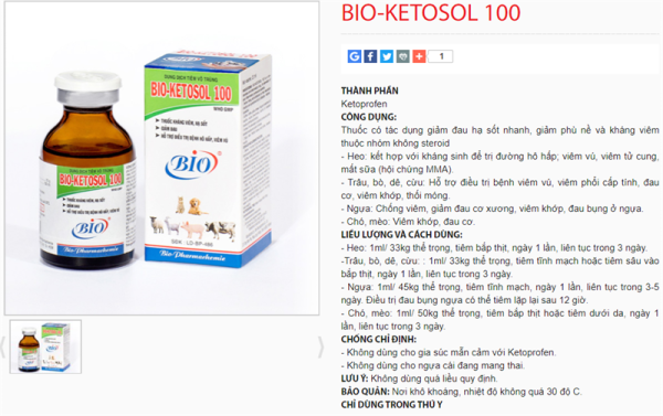 BIO KETOSOL 100 100ml - Ketoprofen 10% - Lọ 100ml - Ảnh 2