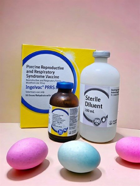 Vaccine Boehringer - PPRS - Tai Xanh - Lọ 10 liều