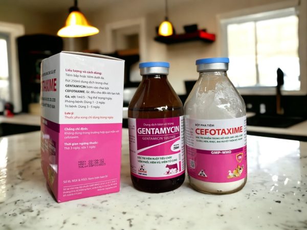 SAGOPHAR CEFOTAXIM + GENTAMYCIN - Cặp 250ml - Ảnh 2