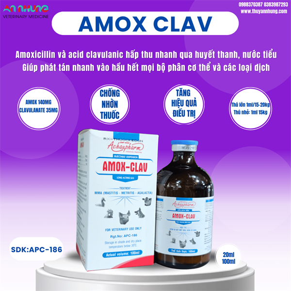 Á Châu Amox Clav 20ml - Lọ 20ml