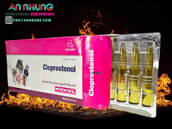 VMD Cloprosternol 2ml/ống - Hộp 20 ống - Ảnh 5