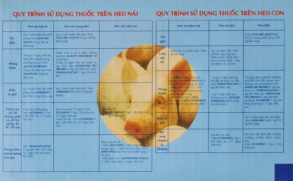 Vibac Fencare gói 100g - Gói - Ảnh 3