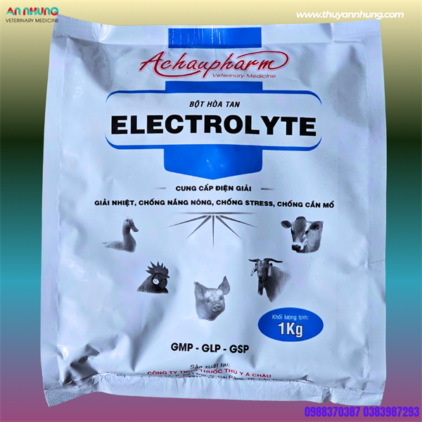 Á CHÂU ELECTROLYTES - Gói 1Kg