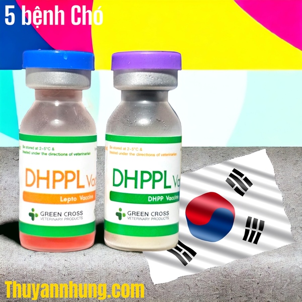 Vaccine Tigervet DHPPL - 6 bệnh Chó - Cặp