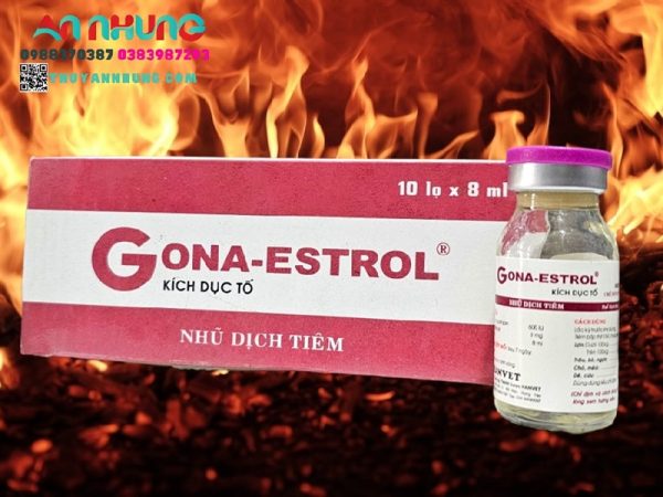 HANVET GONA ESTROL - Lọ 8ml - Ảnh 3