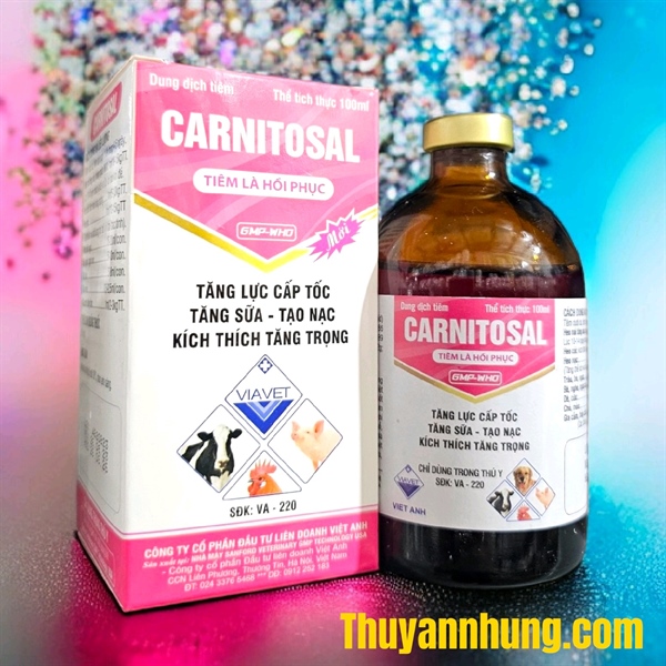 VIA CARNITOSAL
