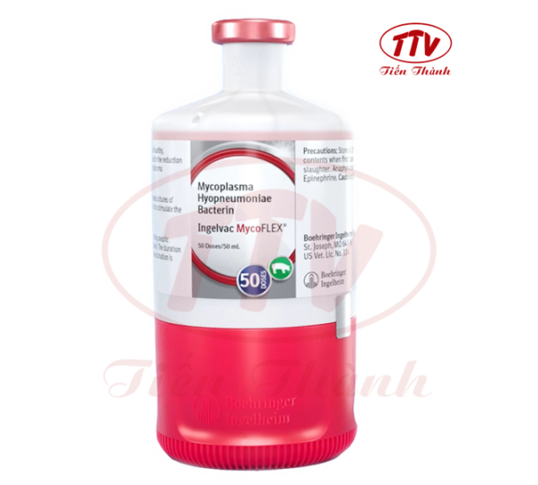 Vaccine Boehringer MYCO - Lọ 50 liều - Ảnh 2