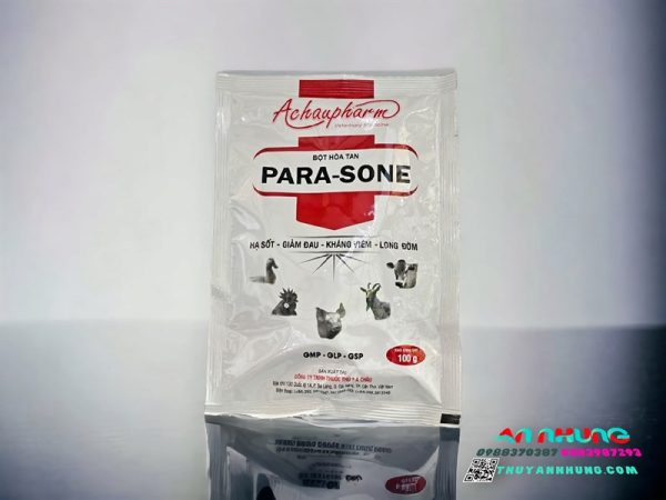 Á Châu Para Sone - Thùng 100 gói
