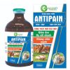GOOVET ANTIPAIN 100ml - Hạ sốt, giảm đau, kháng viêm (3in1: Analgil, Paracetamol và Diclofenac) - Chai 100 ml
