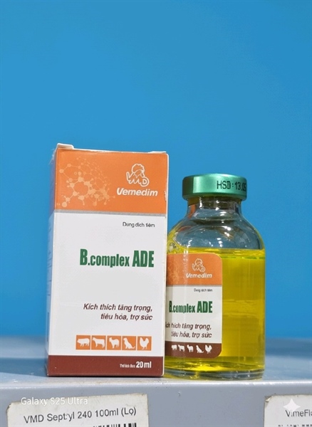 VMD ADE Bcomplex 20ml( chai nhỏ)