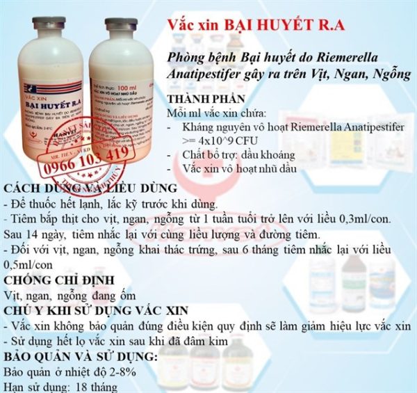 Vaccine Hanvet Bại Huyết R.A Vịt - CHAI/500ML - Ảnh 2