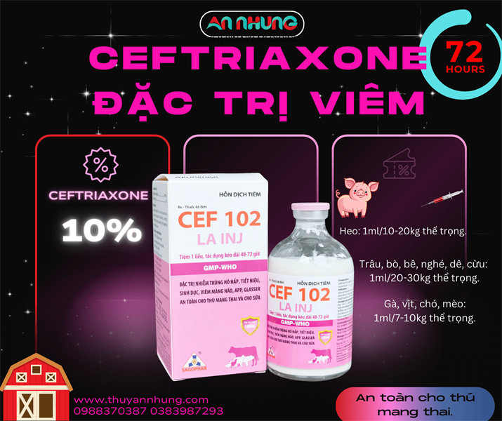 SAGOPHAR CEF 102 LA (CEFTRIXONE SODIUM) - tác dụng 72h