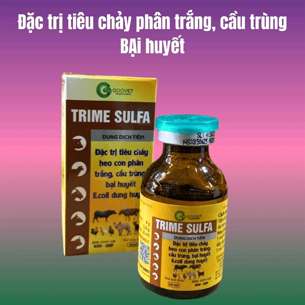 Goovet Trime Sulfa 20ml - Phân trắng, cầu trùng - Lọ 20ml