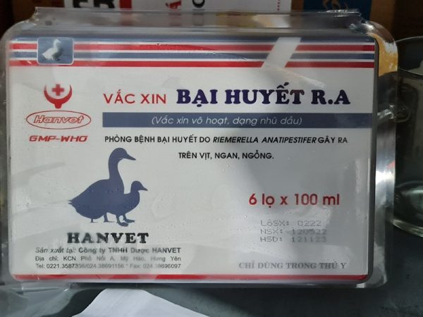 Vaccine Hanvet Bại Huyết R.A Vịt - CHAI/500ML - Ảnh 4