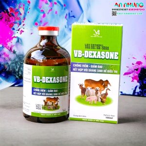 VB DEXASONE 100ML - chai/100ml