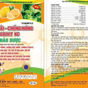 Alternative view of LIKE ĐIỆN GIẢI - CHỐNG NÓNG GLUCO KC THẢO DƯỢC 1kg - Gói 5in1