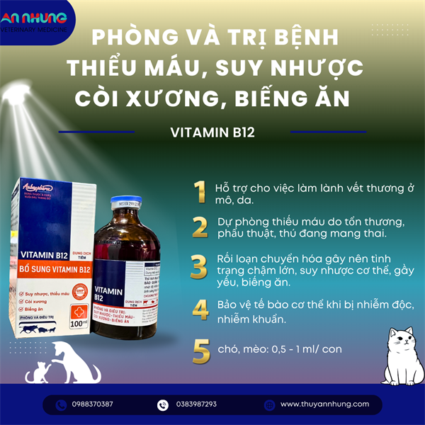 Á CHÂU VITAMIN B12 100ml - Lọ 100ml - Ảnh 4