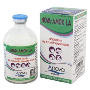 Anova AMOX LA - chai