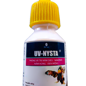 UV NYSTA 10ml - Hộp 10 lọ