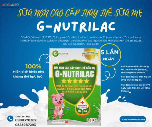 GOOVET G NUTRILAC 1kg - SỮA NON CAO CẤP THAY THẾ SỮA MẸ - Miễn dịch khỏe nhờ kháng thể IgA, IgG - Hộp