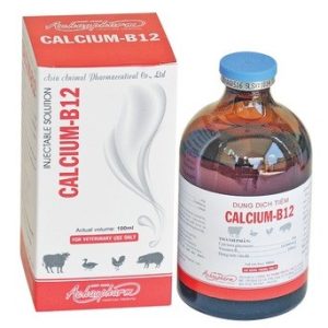 Alternative view of Á CHÂU CALCIUM B12 - Lọ 100ml