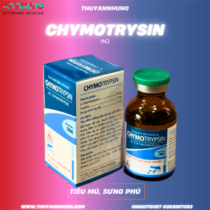 Sagophar Chymotrypsin - Lọ/20ml