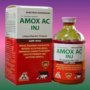 Alternative view of SAGOPHAR AMOX AC INJ 100ml - Đỏ 72h - CHAI 100ML