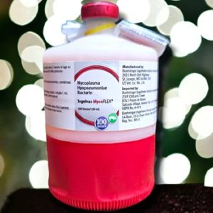 Alternative view of VACCINE BOEHRINGER MYCO - Lọ 100 liều