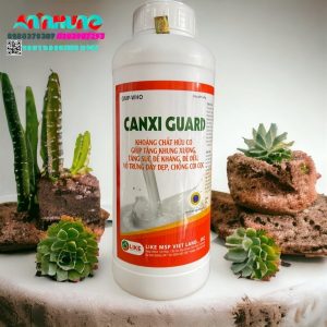 Alternative view of LIKE CANXI GUARD 1 lít - Chai