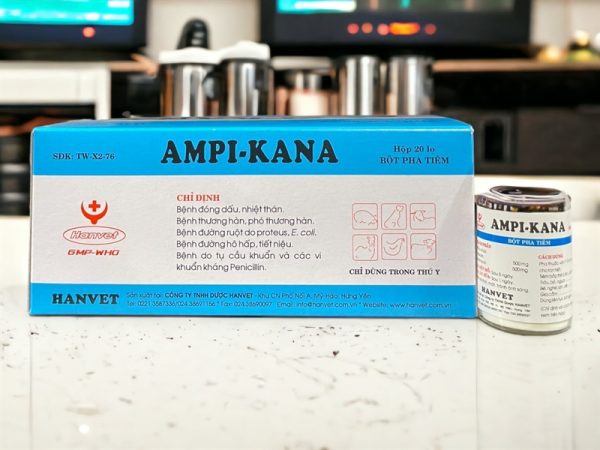 Hanvet Kana Ampi 1gr - Hộp 20 lọ - Ảnh 4