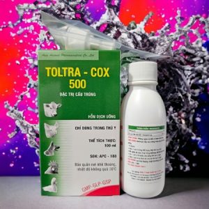 Á Châu Toltra Cox 500 Oral 100ml - Lọ