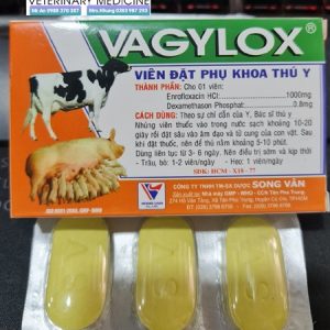 SV Vagylox - Hôp 6viên