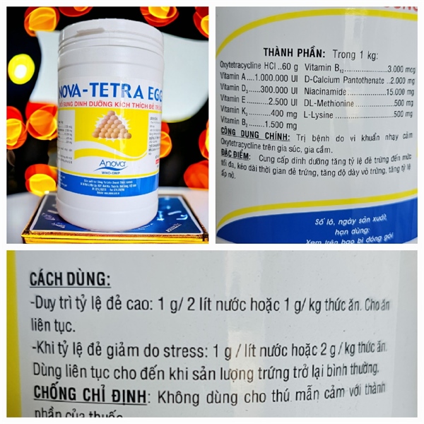 ANOVA TETRA EGG 1KG - Lon - Ảnh 2
