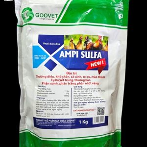 GOOVET AMPI SULFA NEW - Chướng diều, khô chân, sã cánh, toi rù, mào thâm, phân xanh, phân trắng, nhớt vàng - Gói 10in1