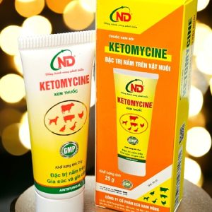 ND Ketomycin (Bôi Nấm) 25gr - Thùng 200 tuýp