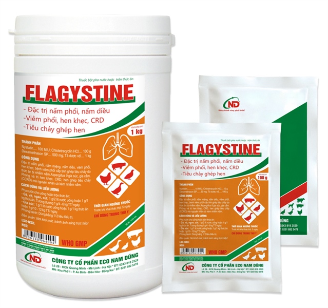 ND Flagystine 10gr (Nystatin + Chlotetra + Dexa) - Hộp 50 gói - Ảnh 4