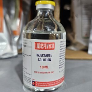 Taiwan LINCOSPEMYCIN 100ml - chai 100ml