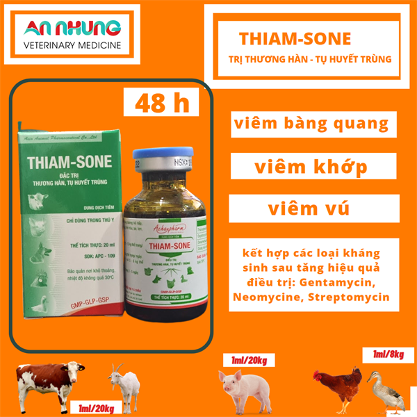Á Châu Thiam Sone 20ml - Lọ 20ml - Ảnh 3