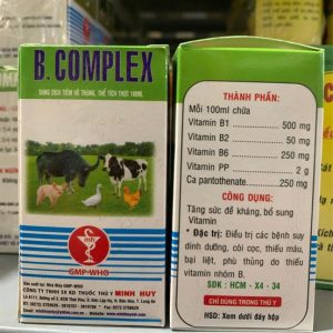 Alternative view of MINH HUY BCOMPLEX 100 ml - chai