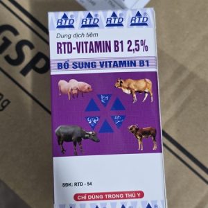 RTD Vitamin B1 100ml - Chai 100 ml
