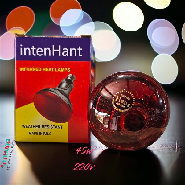 Inten Hant 45w/ bóng nhỏ - cái - Ảnh 2