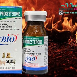Alternative view of Bio Progesterone (An Thai) 10ml - Lọ