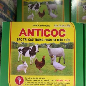 Alternative view of Minh Huy Anticoc 20gr - Gói 20gr