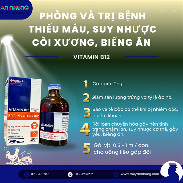 Á CHÂU VITAMIN B12 100ml - Lọ 100ml - Ảnh 5