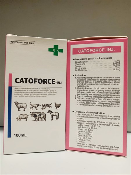 SISTAR CATOFORCE 100ml - chai - Ảnh 2