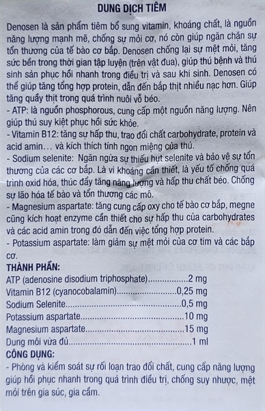 Á CHÂU DENOSEN - ATP - Ảnh 5