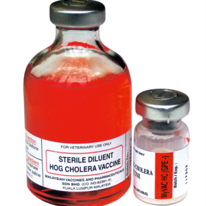 Nước pha Hồng 100ml - lọ
