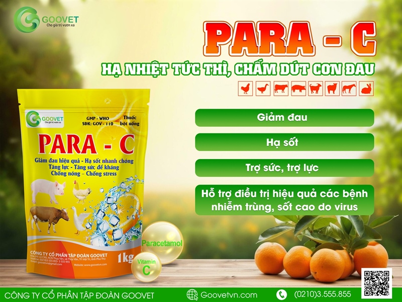 GOOVET PARA C 1kg - Ảnh 4