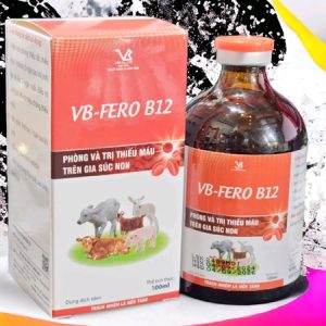 VB FERO B12 100ml - Phòng thiếu máu trên gia súc non - Lọ 100ml