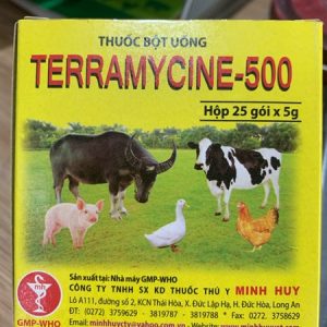 Alternative view of Minh Huy Teramycine 500 Bạc 5gr - Hộp 25 gói